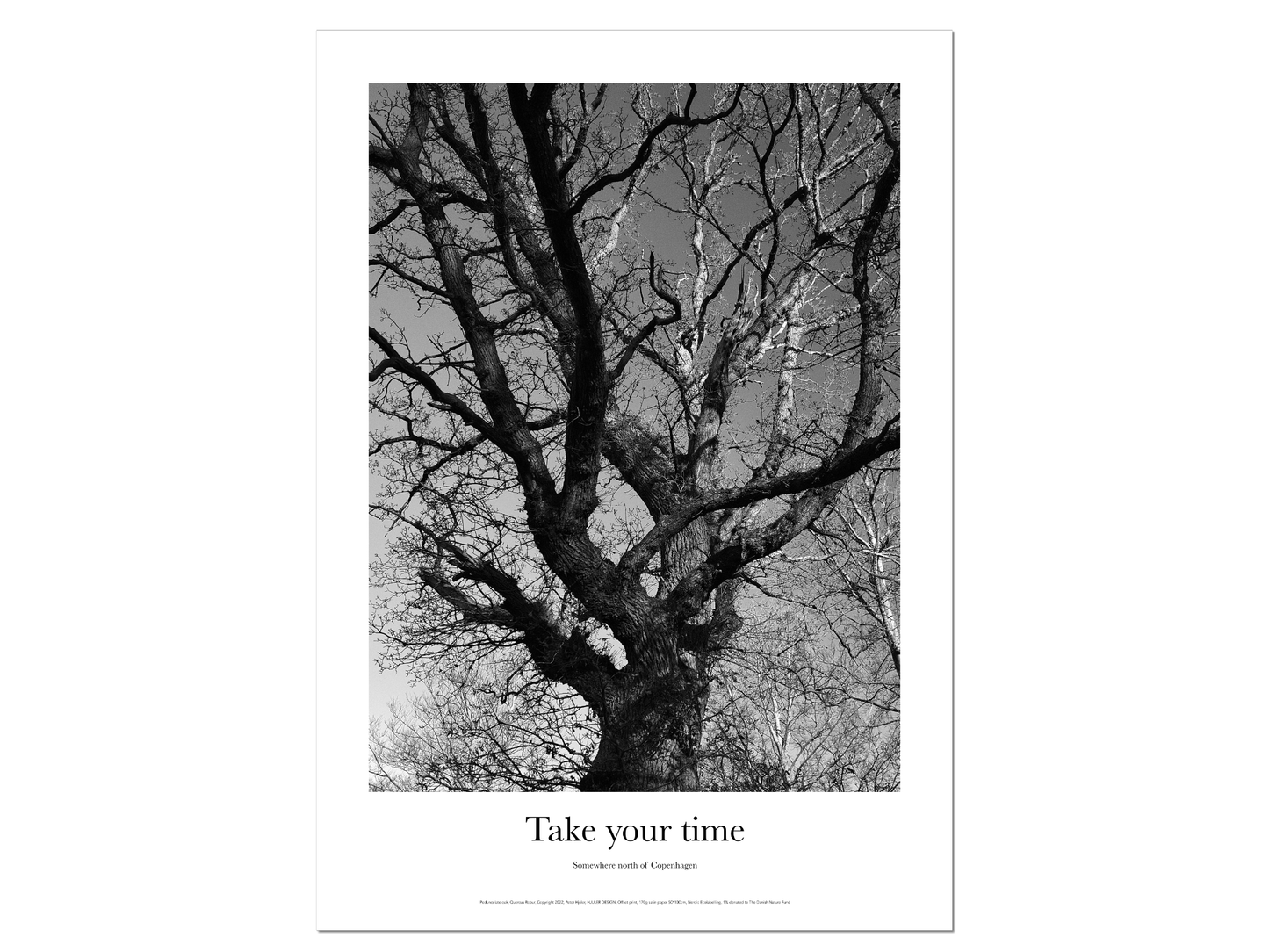 Oak poster